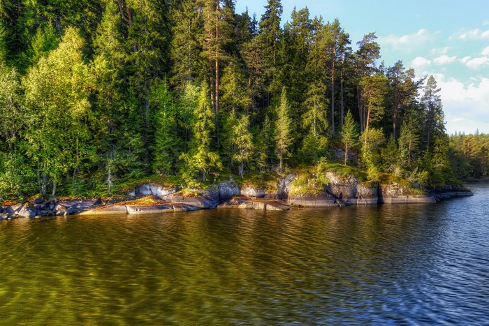 Lake Ladoga Valaam Island Russia Forest