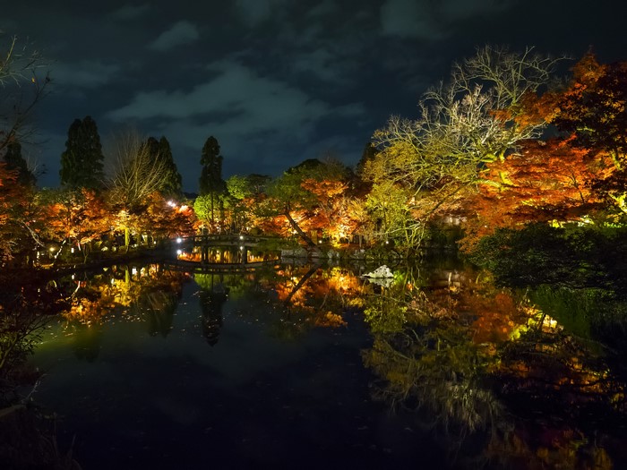 Illuminated Japanese Garden at Night with Pond Reflection