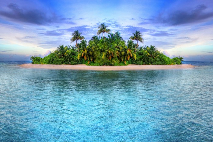 Tropical island with palm trees and ocean
