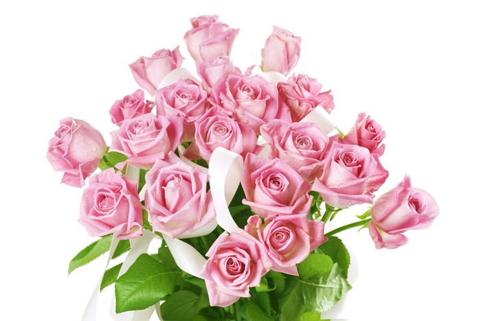 Bouquet of pink roses with white ribbons