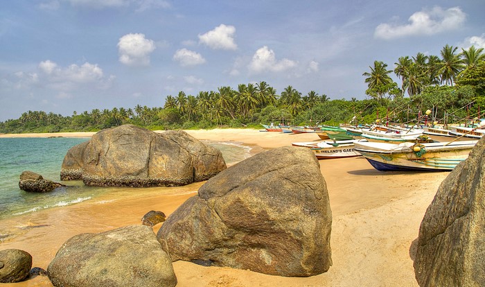 Boats on the beach with palm trees in Galle, Sri Lanka