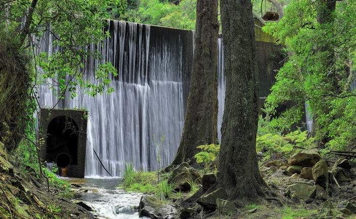 Waterfall cascading over a dam in a forest