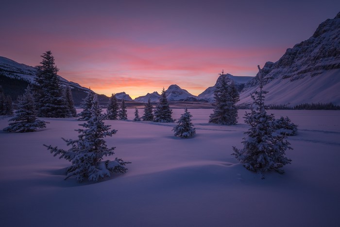 Snowy trees and mountains at sunrise in Banff National Park