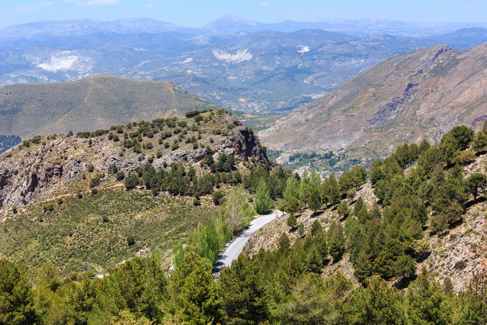Sierra Nevada National Park, Spain, Mountains, Trees