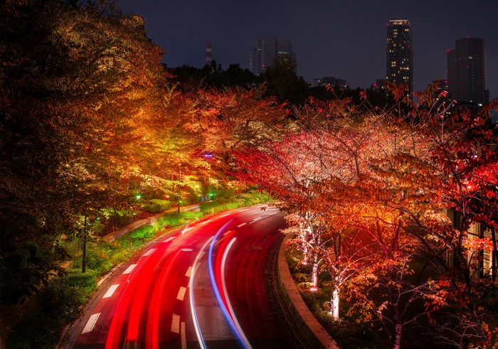 Roads in Tokyo, Japan during Autumn at Night