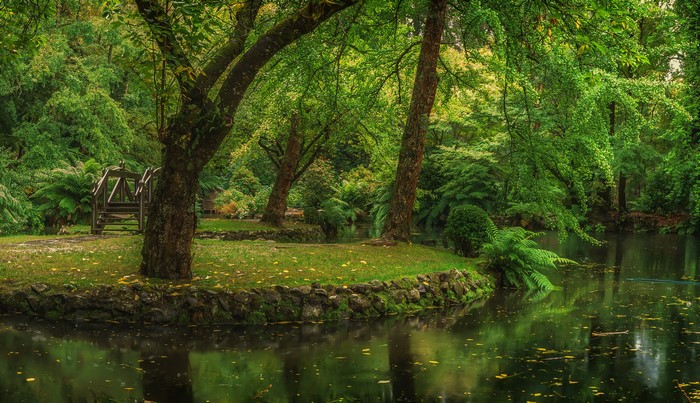 Alfred Nicholas Memorial Gardens Pond with Wooden Bridge