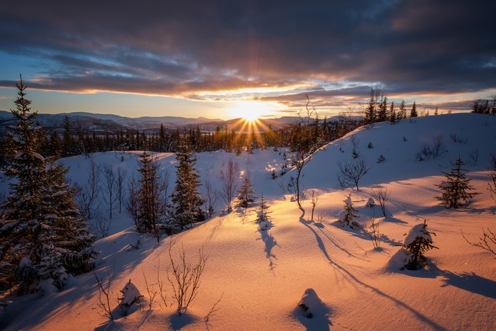 Winter sunset with sun rays over snowy landscape
