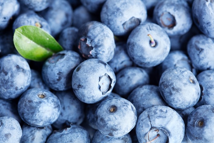 Many Blueberries Closeup