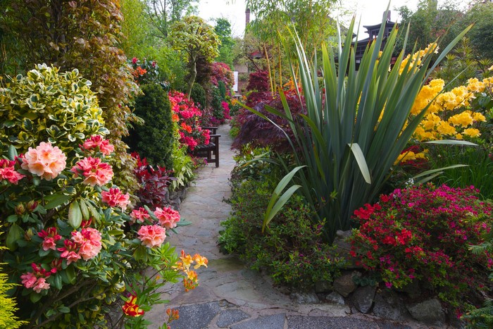 Beautiful Garden Path with Colorful Flowers