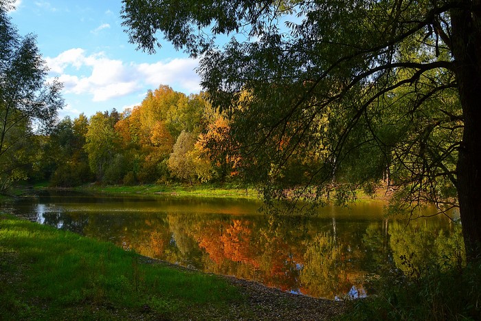 Autumn forest reflected in a lake in Moscow region, Russia