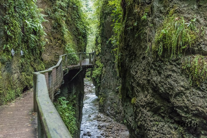 Gorges Kakouetta, France: A wooden walkway along a river in a mossy canyon