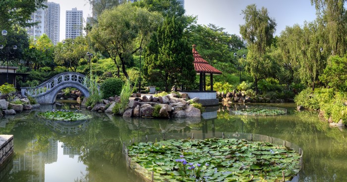 Nan Lian Garden Pond with Bridge and Gazebo in Hong Kong
