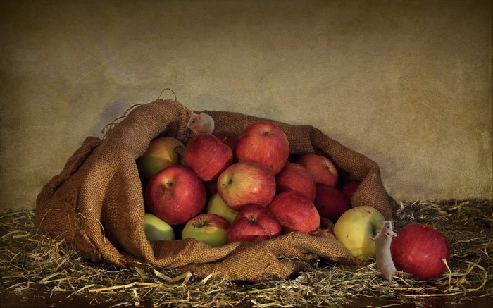 Two mice and a sack of apples on straw