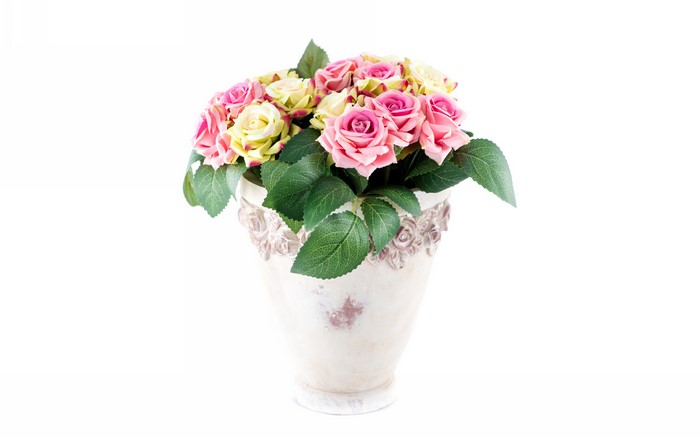 Pink and Yellow Roses in a Decorative Flowerpot
