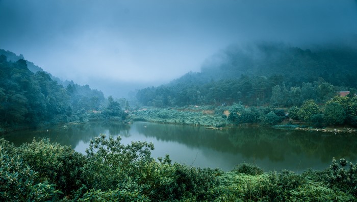 Lake and Foggy Forest in Vietnam