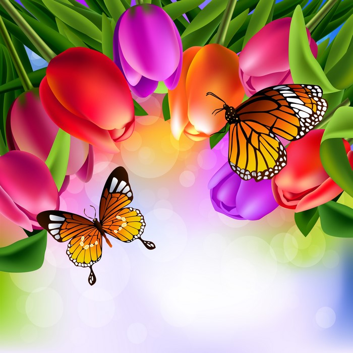 4K, 5K, 6K, Butterflies, Tulips, Monarch butterfly, HD Wallpaper | Rare