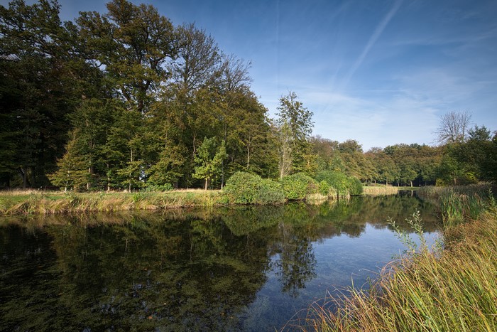 4K s-Graveland Netherlands Rivers Forests