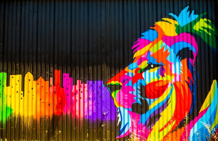 Colorful Lion Graffiti on Black Wall