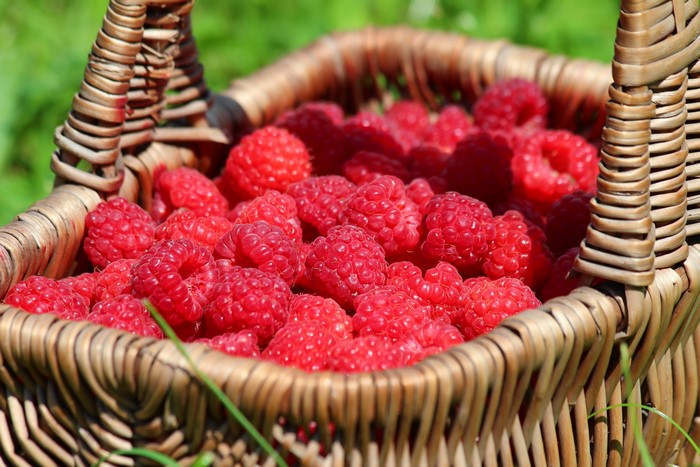 Raspberries in a Wicker Basket