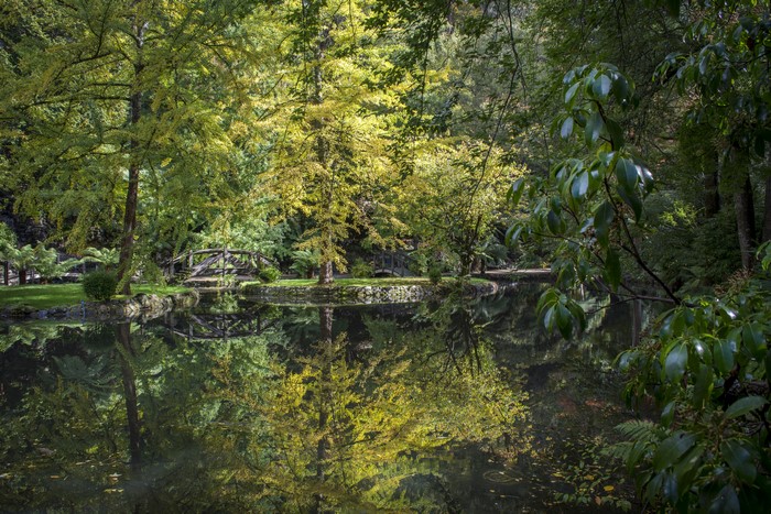 Alfred Nicholas Memorial Gardens Pond with Wooden Bridge