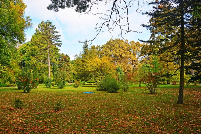 Autumn park in Szeged, Hungary with fallen leaves