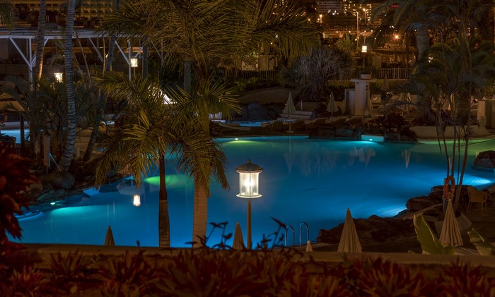 Resort pool at night with palm trees and city lights
