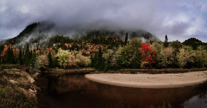 Misty Mountain Forest and River in Quebec, Canada