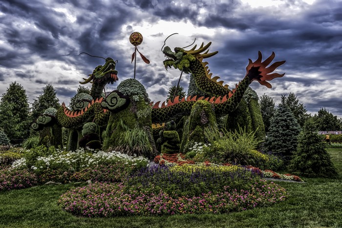 Dragons Topiary Garden in Ottawa, Canada