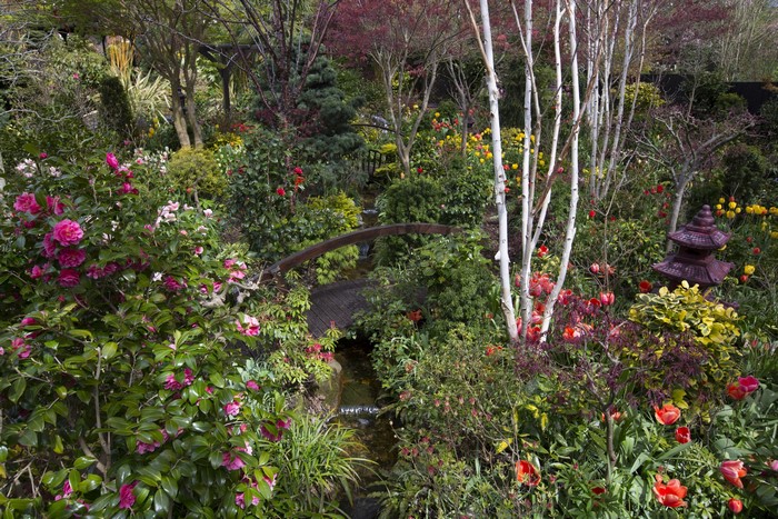 Walsall Garden with Camellias and Bridge in England