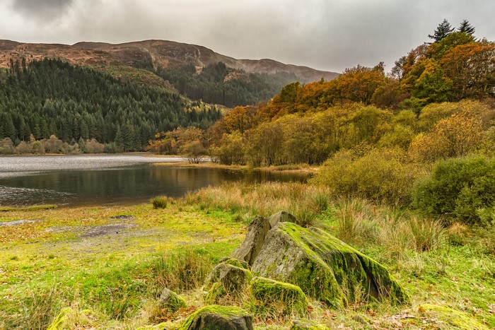 Lake Chon with Autumn Trees and Mossy Stones