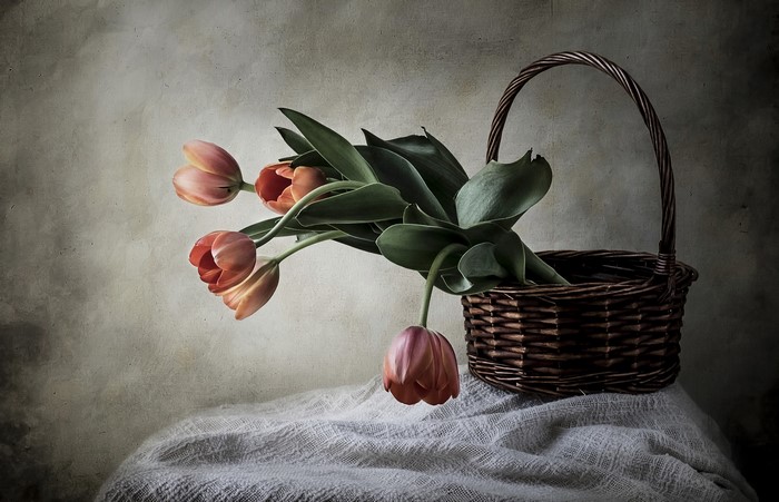 Tulips in a wicker basket on a textured surface