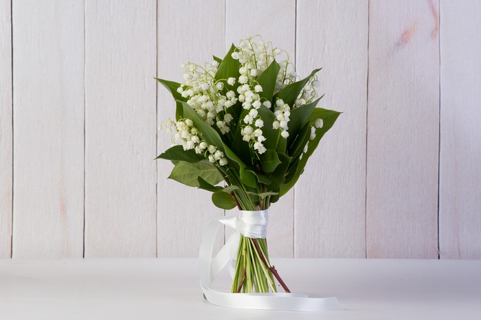Bouquet of lilies of the valley tied with a ribbon