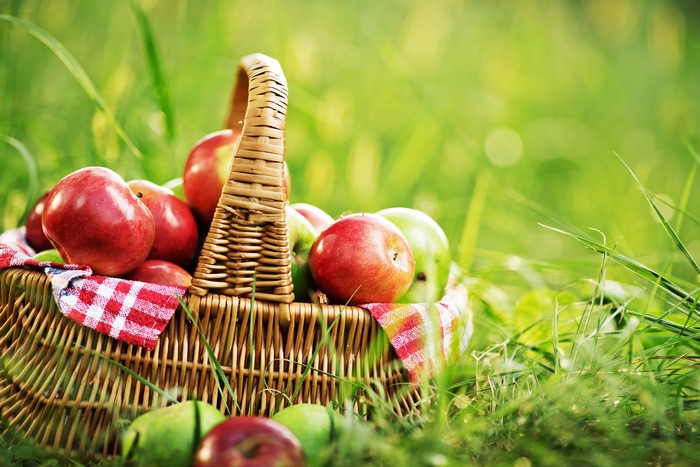 Apples in a wicker basket on grass