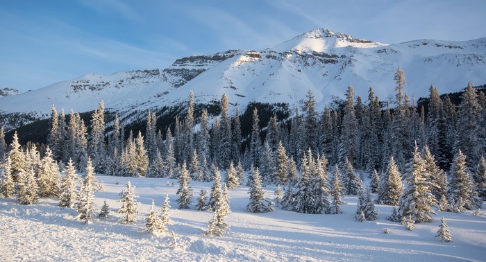 Snowy Mountains and Forest in Winter