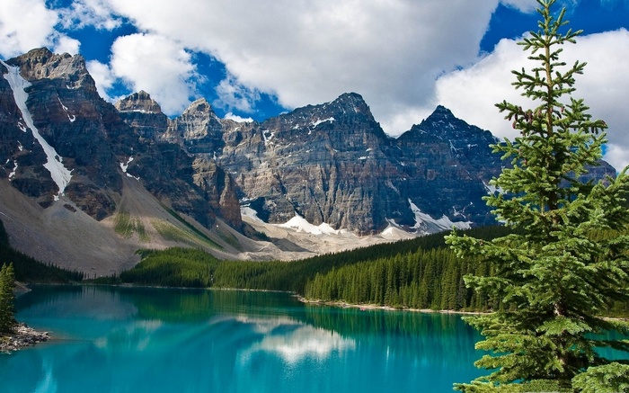 Turquoise lake and mountains with pine tree