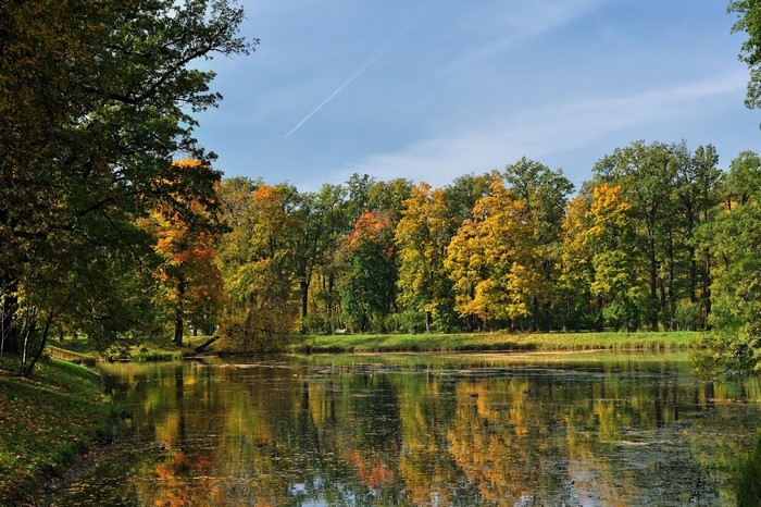 Autumn lake and trees in a park in St. Petersburg, Russia