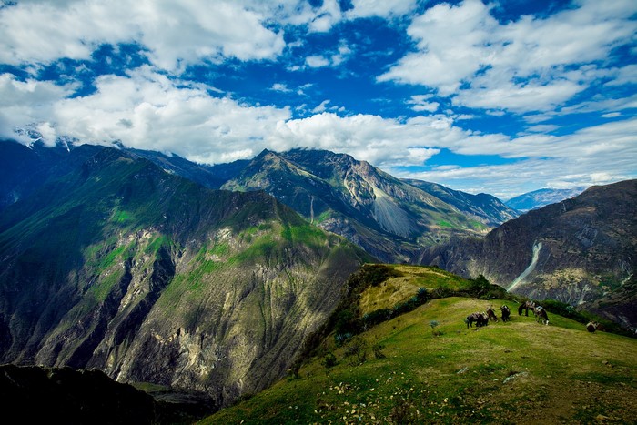Apurimac Valley, Peru: Mountains, Grasslands, and Animals
