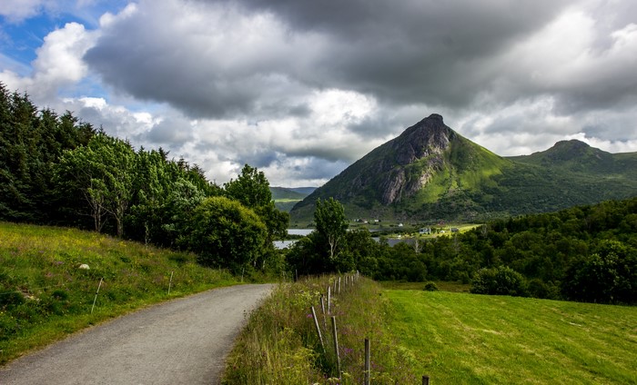 Road through Lofoten mountains and forests, Norway