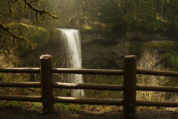 Waterfall in Silver Falls State Park, USA