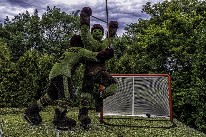Topiary hockey players celebrating a goal in Ottawa, Canada