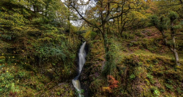 Waterfall in a mossy forest with a stone bridge