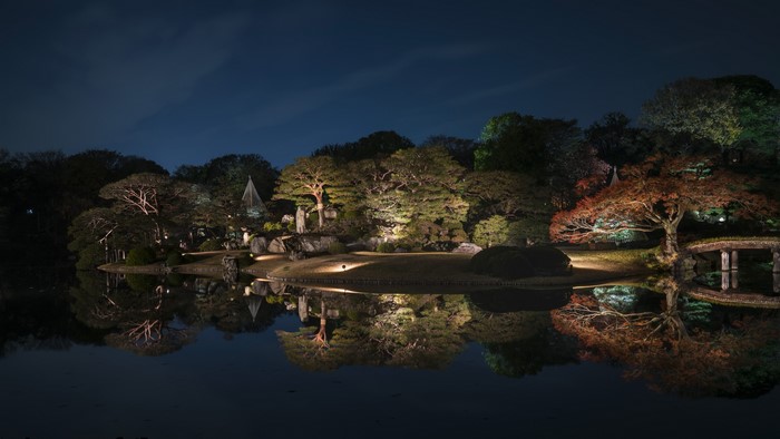 Japanese Garden at Night with Pond Reflection