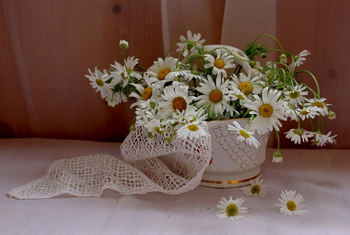 Bouquet of Chamomile Flowers in a White Vase with Lace