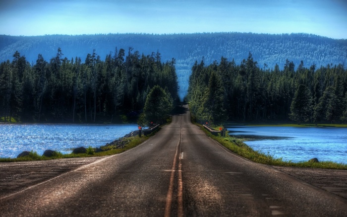 Road through a forest to a mountain