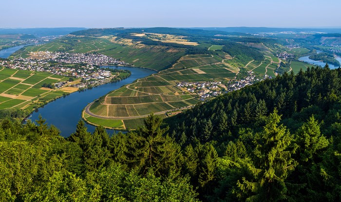 Moselle River valley with vineyards and forests in Germany
