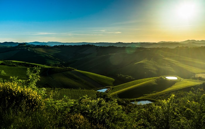 Rolling hills and vineyards in Zattaglia, Italy at sunset