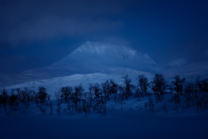 Snowy mountain landscape with trees at night