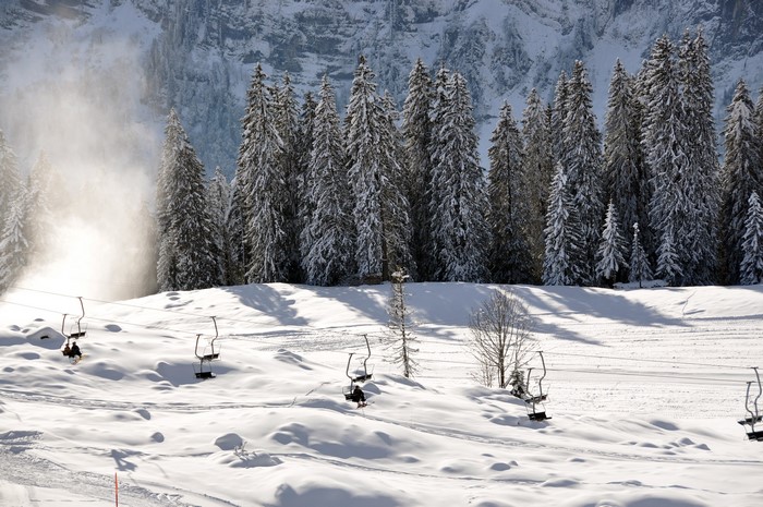 Ski lift chairs moving up a snowy slope with pine trees