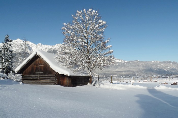 Wooden cabin and snow-covered tree in Garmisch Partenkirchen, Germany