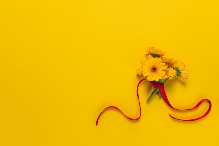 Yellow Gerbera Daisies with Red Ribbon on Yellow Background